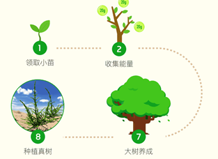 蚂蚁森林最新规则,蚂蚁森林最新规则解析