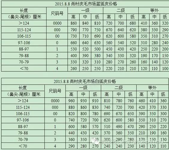 尚村蓝狐皮最新价格,尚村蓝狐皮最新价格动态分析