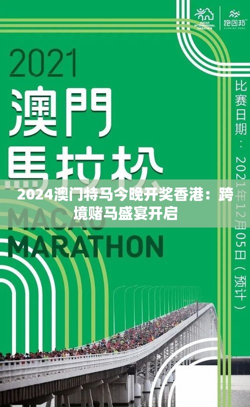 2024澳门特马今晚开网站,探索澳门特马文化，2024澳门特马今晚开网站