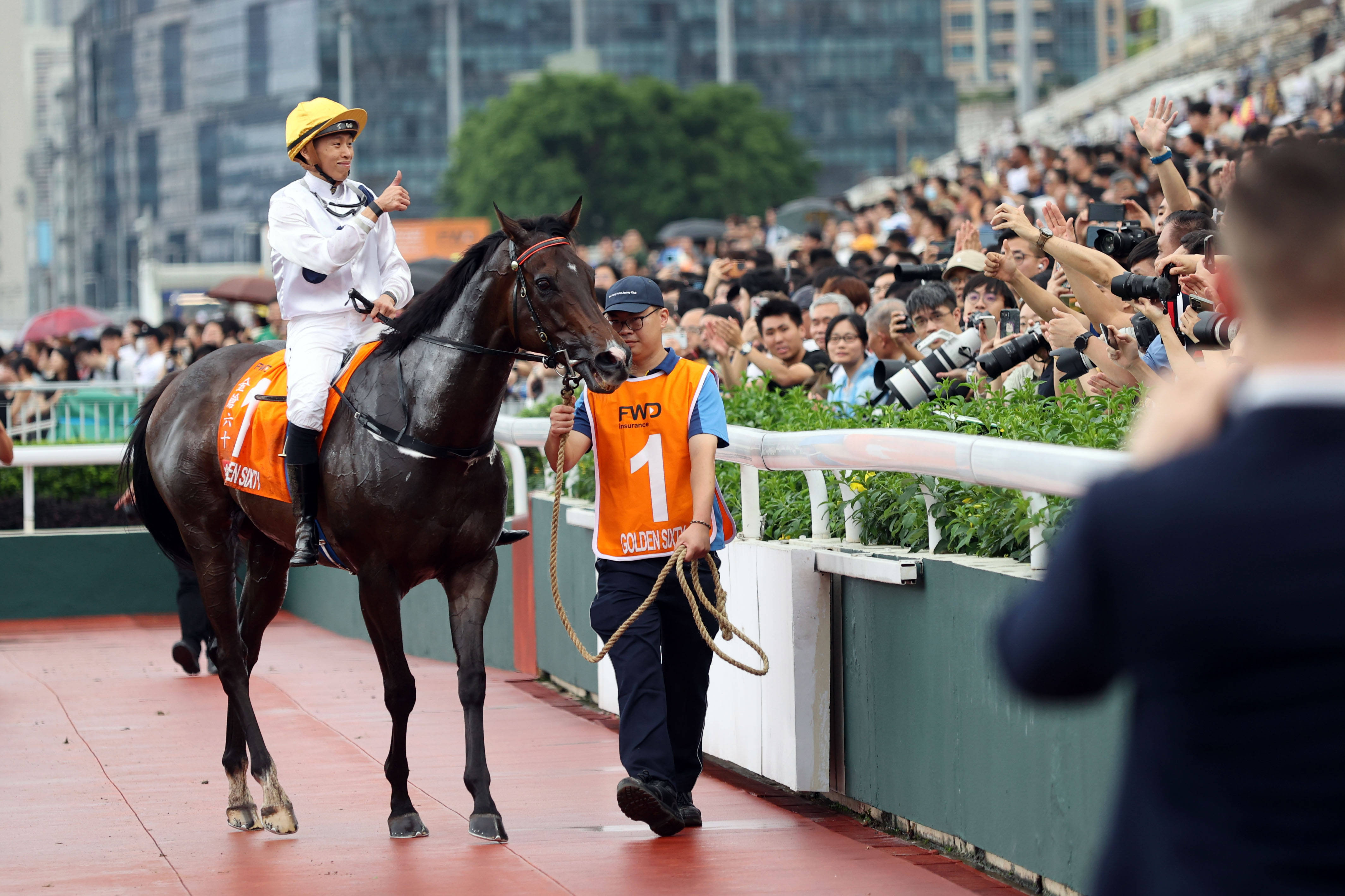 香港马买马网站www,香港马买马网站——探索在线赛马世界的门户