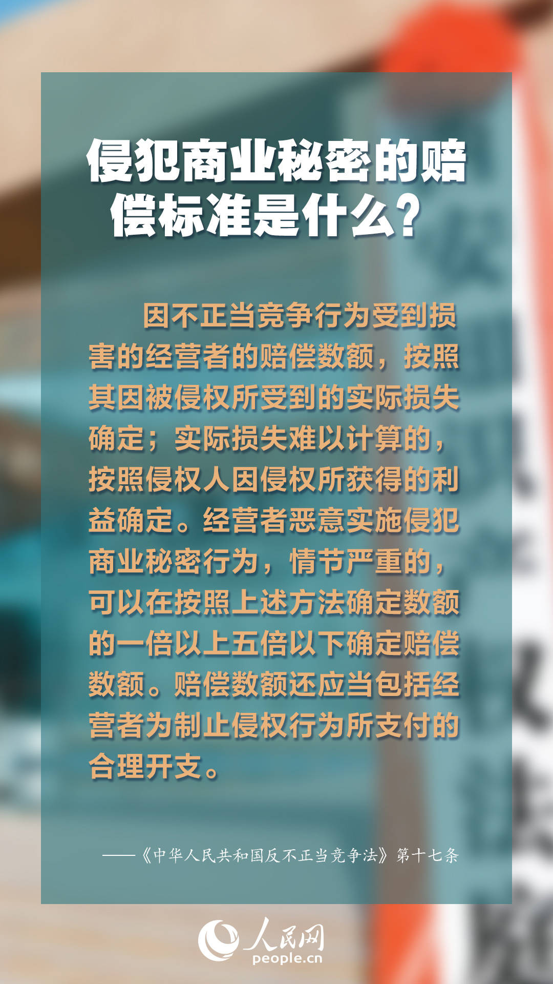 2024年正版资料大全免费看,探索未来知识宝库，2024正版资料大全免费共享时代来临