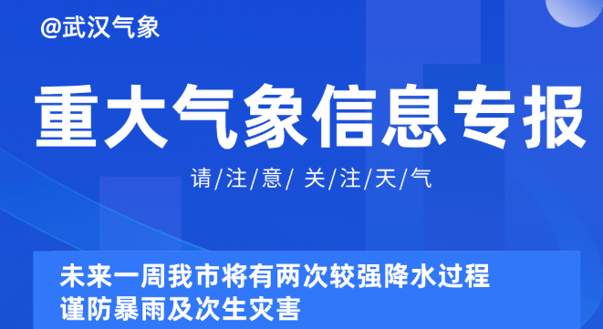 新奥精准资料免费提供510期,新奥精准资料免费提供510期，深度解析与前瞻性展望