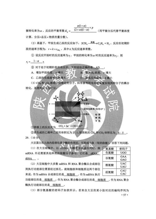 正版综合资料一资料大全,正版综合资料一资料大全，深度解析与实际应用