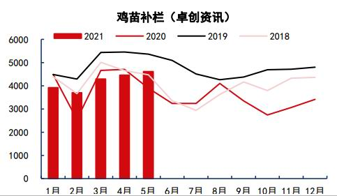 2025新澳今晚资料鸡号几号,关于新澳今晚资料鸡号的预测与探讨——走向2025的启示