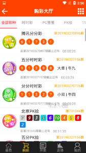 2025澳门王中王100%期期中,探索澳门王中王彩票，揭秘2025年彩票期期中的秘密