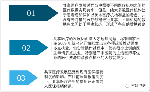 2025年正版资料免费大全一肖,探索未来，在正版资料免费共享中的一肖文化繁荣