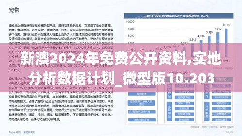 新澳2025年精准资料,新澳2025年精准资料概览