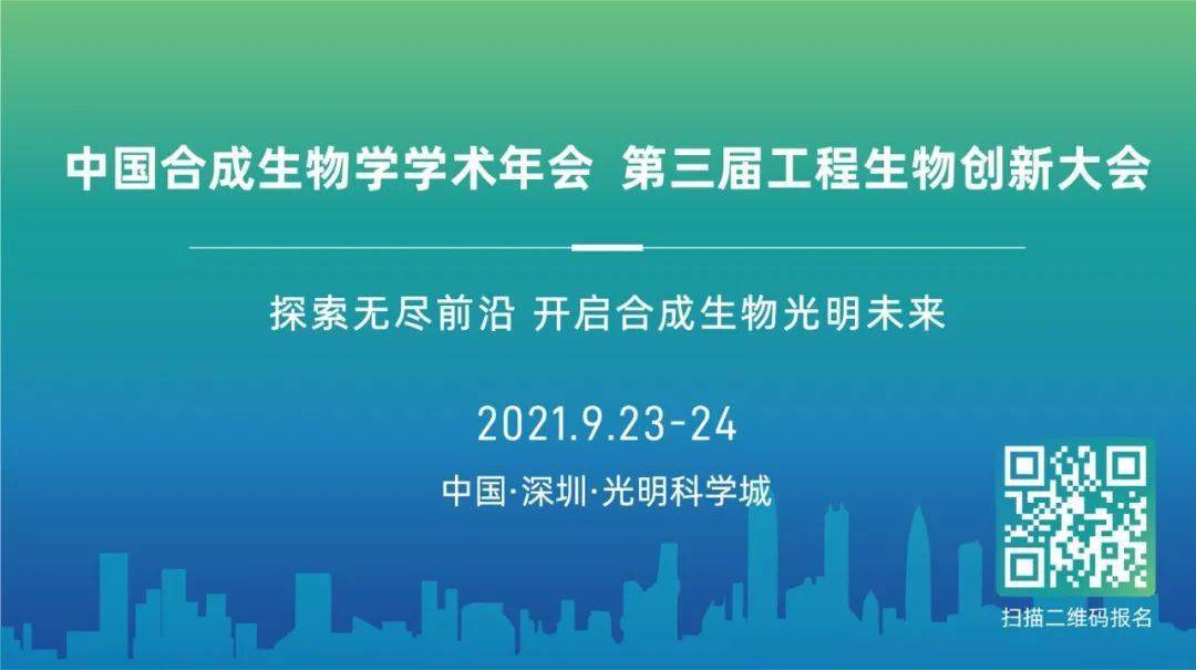 2025新澳资料大全免费,探索未来，2025新澳资料大全免费获取指南