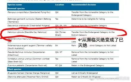 新澳今天最新资料2025,新澳最新资料概览，迈向未来的蓝图（2025展望）