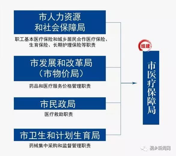 2025新澳正版挂牌之全扁037期 34-12-08-31-23-40T：11,探索新澳正版挂牌之全扁037期——揭秘数字背后的故事