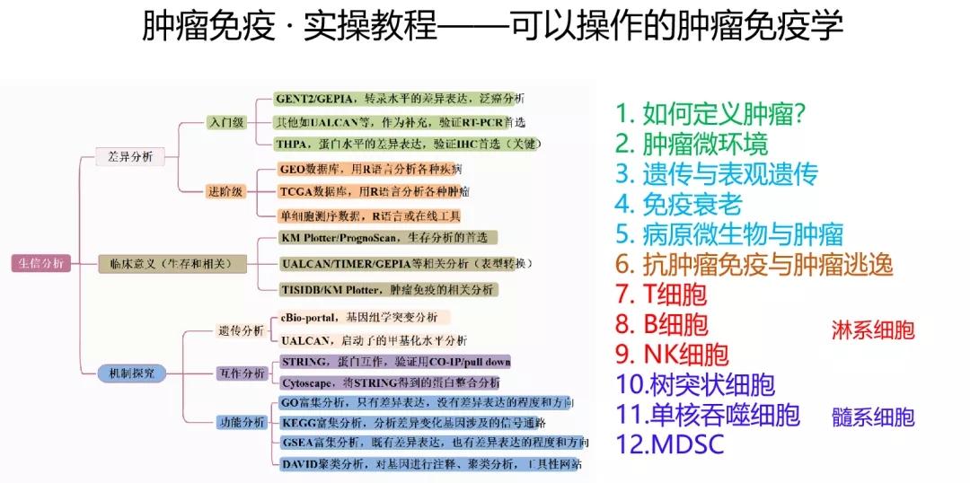 2025年正版资料免费大全优势106期 03-15-16-20-21-43R：16,探索未来，2025年正版资料免费大全的优势及影响