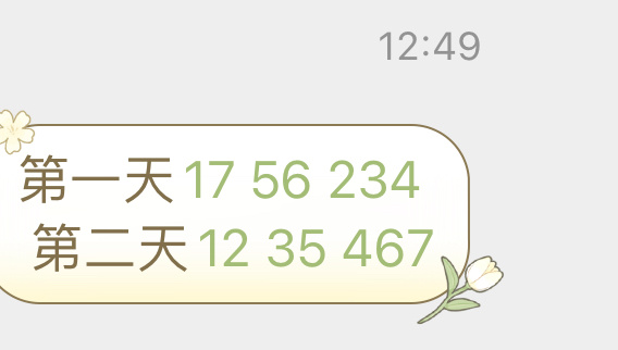 2025澳门正版今晚开特马125期 04-15-17-28-32-49N：43,澳门正版今晚开特马第125期，探索数字背后的故事与期待