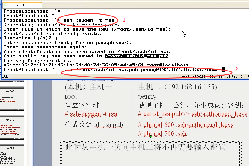 澳门三肖三码精准100%公司认证039期 03-08-12-15-16-39C：27,澳门三肖三码精准预测，公司认证与号码分析（第039期）