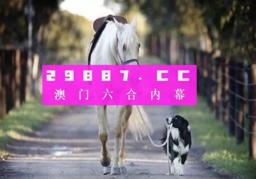 新澳门资料精准网站075期 13-45-05-18-26-34T：16,新澳门资料精准网站，探索数字世界的奥秘（第075期分析）