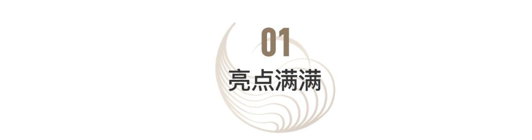 2025年2月20日 第5页