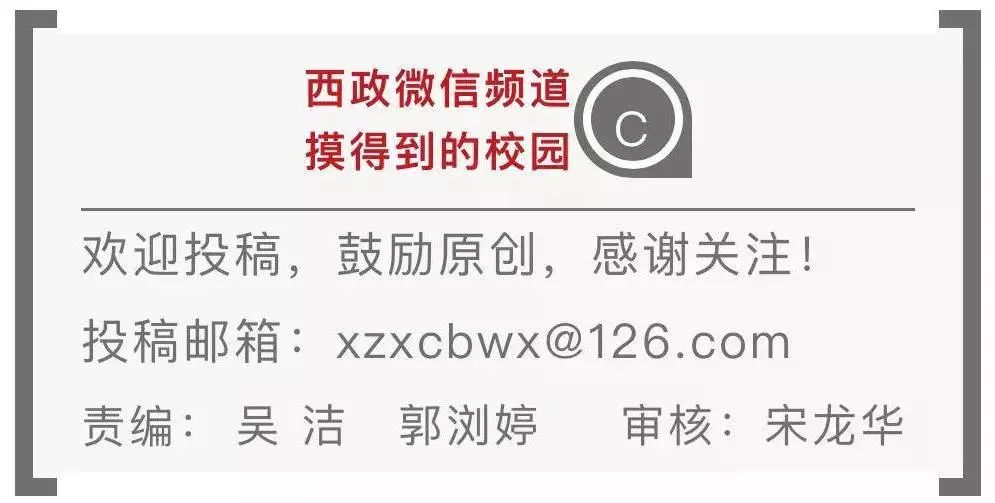 新奥门特免费资料大全今天的图片103期 07-22-29-33-34-38V：41,新澳门特免费资料大全揭秘，今日图片版第103期精彩内容解析